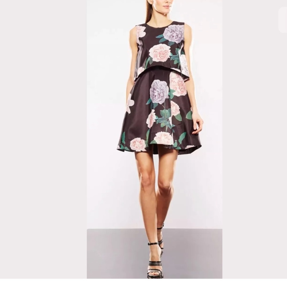 Erin Fetherston  tippy Rose Floral dress NWT